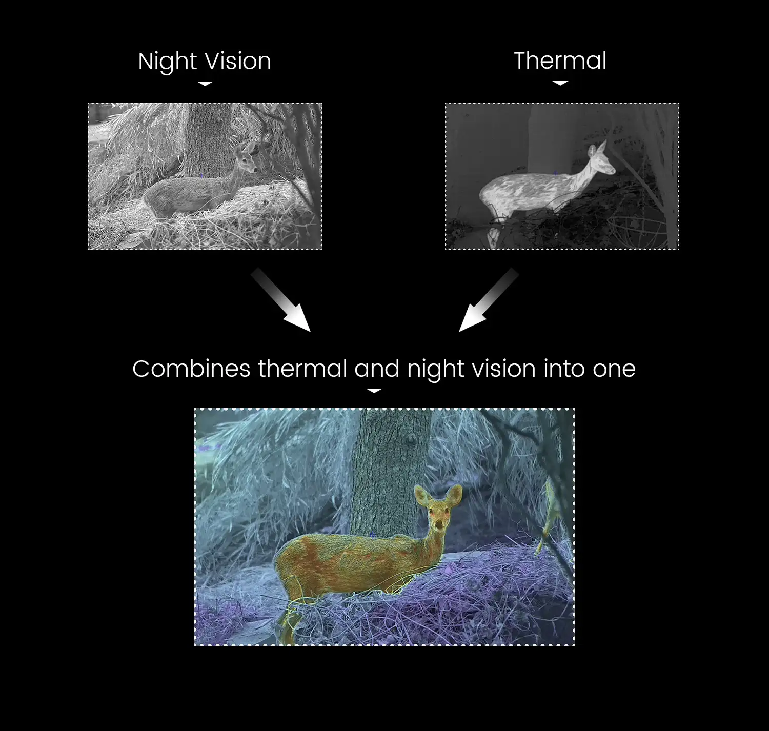 F.I.T. Image